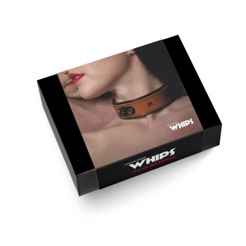 WHIPS - PPH GRAS Wiązania-WHIPS obroża damska bez smyczy, koniakowa