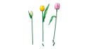 LEGO Botanical 11501 Bukiet tulipanów