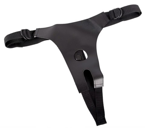 ORION Strap on! Colour