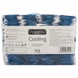 PASANTE - Boys of Toys Sp. z o.o. (dystrybutor) Pasante Cooling Condoms Bulk Packs 144 pcs