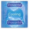 PASANTE - Boys of Toys Sp. z o.o. (dystrybutor) Pasante Cooling Condoms Bulk Packs 144 pcs