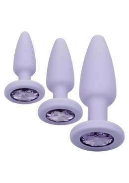 SCALA Crystal Booty Kit Purple