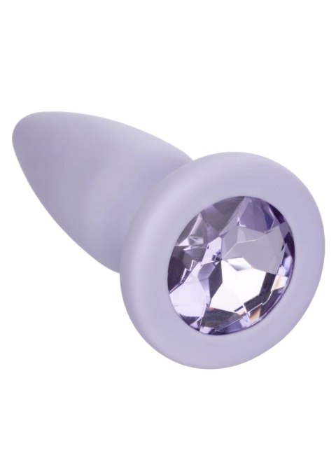 SCALA Crystal Booty Kit Purple