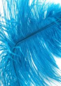 SCALA Double Feather Tickler Blue