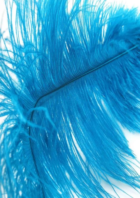 SCALA Double Feather Tickler Blue