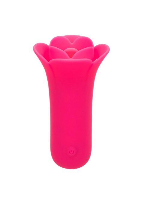 SCALA Lily Licker Mini Flower Flicker