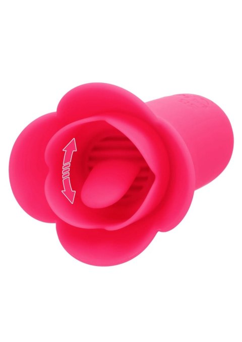 SCALA Lily Licker Mini Flower Flicker