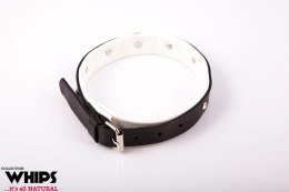 WHIPS - PPH GRAS Wiązania - Obroża damska, średnia, biała