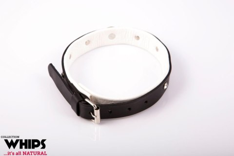WHIPS - PPH GRAS Wiązania - Obroża damska, średnia, biała