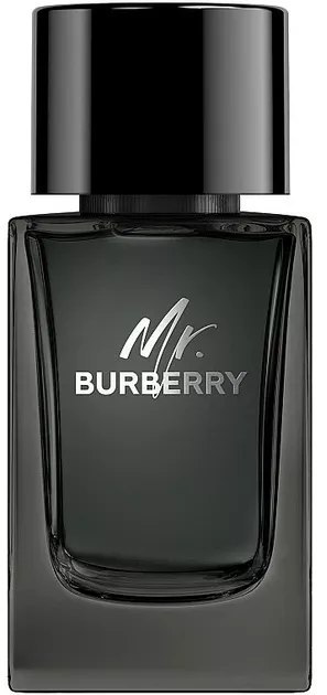 Burberry Mr. Burberry Edp 100ml