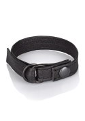 SCALA Leather Cinch Black