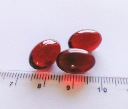 Game Dog Krill Oil Kwasy Omega-3 Suplement dla psów 60 kapsułek