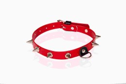 WHIPS - PPH GRAS Wiązania-WHIPS lakier, obroża damska z kolcami, czerwona
