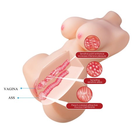 Baile - Boys of Toys Sp. z. o.o. (dystrybutor) Crazy Bull Aveline Realistic Masturbator