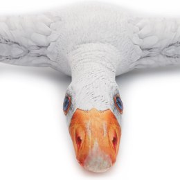 Poduszka przytulanka /40x40/B523/GĘŚ 1