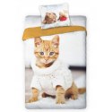 Pościel bawełna 160x200+1p70x80 Kot Friends 001