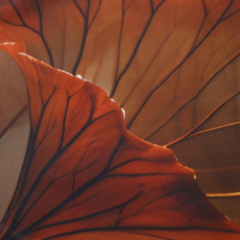 Pościel satyna bawełniana 12407/140x200+1posz.70x90 SATYNLOVE PREMIUM