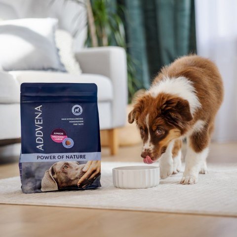 ADDVENA POWER OF NATURE Junior/Medium/Large jagnięcina dla szczeniąt 2,5 kg