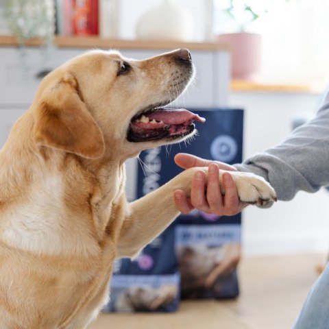 ADDVENA POWER OF NATURE dla starszych psów średnich i dużych ras 10kg