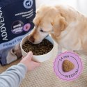 ADDVENA POWER OF NATURE dla starszych psów średnich i dużych ras 2,5kg