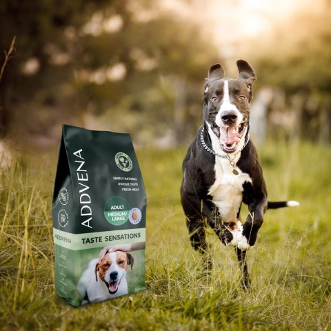 ADDVENA TASTE SENSATIONS dla dorosłych psów średnich i dużych ras 2,5kg