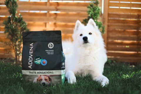 ADDVENA TASTE SENSATIONS dla dorosłych psów średnich i dużych ras 2,5kg