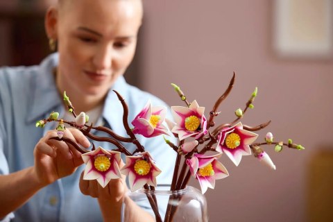 LEGO Botanical Collection 11510 - Gałązki magnolii