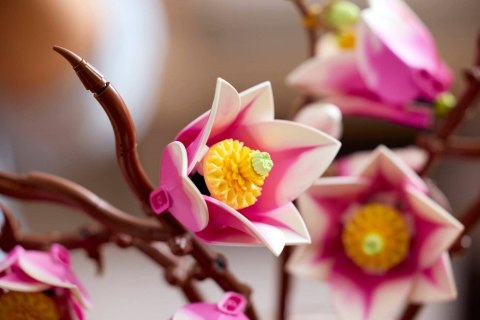 LEGO Botanical Collection 11510 - Gałązki magnolii