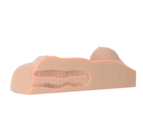 Masturbator Pdx Plus Perfect Dd'S Masturbator Light Pipedream