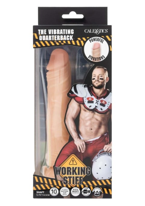 SCALA The Vibrating Quaterback