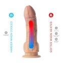 CNEX A.I.E.,S.L. Silexd Legends - Juan Lucho Dildo 9"