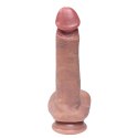 Fantasy - Boys of Toys Sp. z. o.o. (dystrybutor) Silicone dildo with foreskin and realistic testicles 21 cm