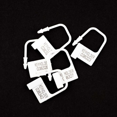 Boys of Toys Sp. z o.o. Penis Cock Cage - Regular